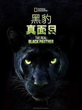 真黑豹無(wú)雙