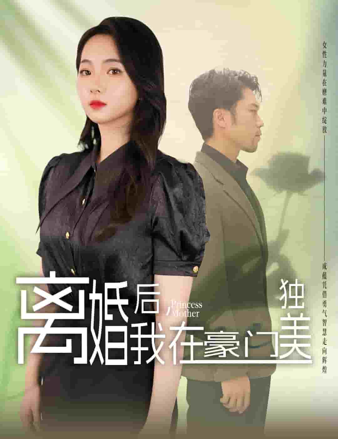 離婚后，我在豪門獨(dú)美(全集)