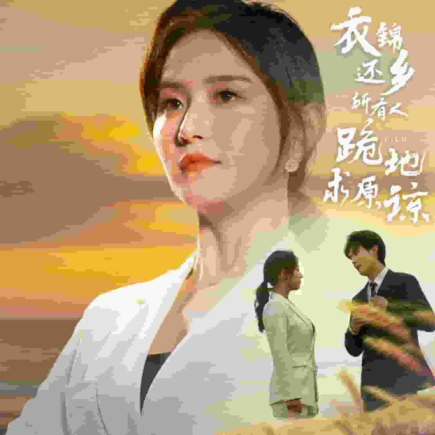 衣錦還鄉(xiāng)，所有人跪地求原諒(全集)