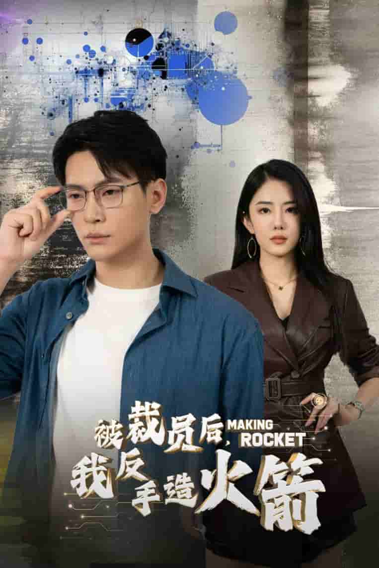 被裁員后，我反手造火箭(全集)