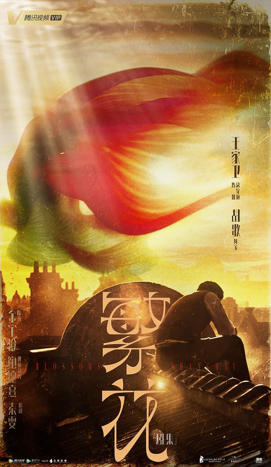 繁花(滬語(yǔ)版)(全集)