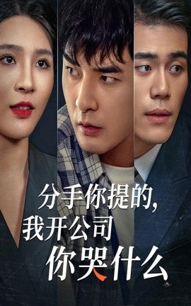 分手你提的，我開公司你哭什么(全集)
