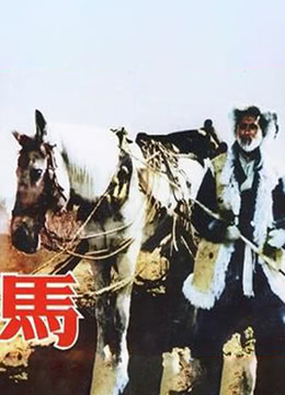 馬 1956(全集)
