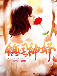 鎮(zhèn)國神婿(全集)