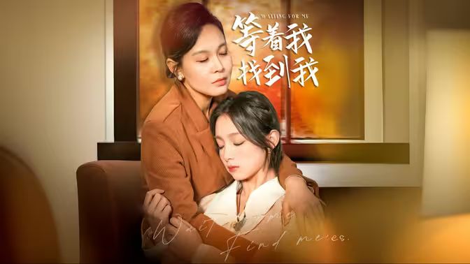 等著我，找到我(全集)