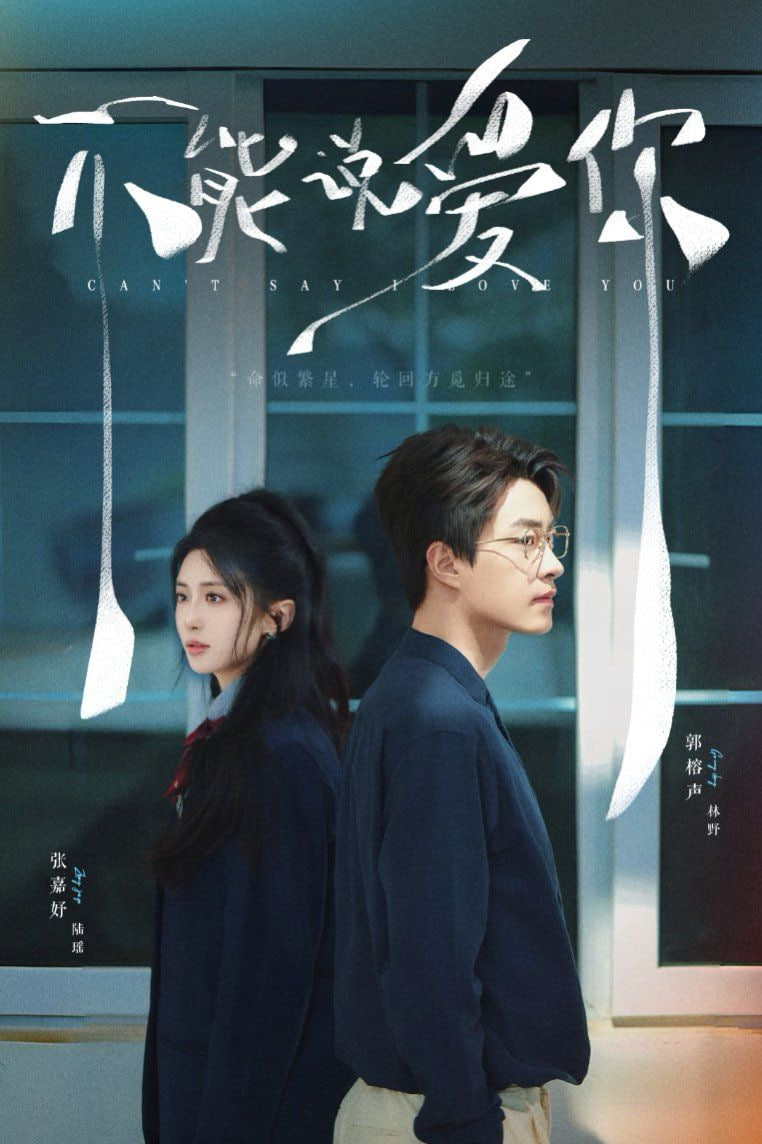 不能說愛你(全集)